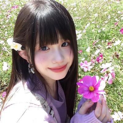 人类历史封面